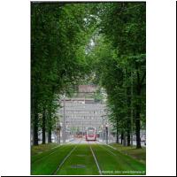 2025-05-27 T1 Bd Sauveniere 5115.jpg